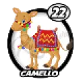 2024-06-16 17:00 22 Camello