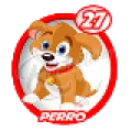 2024-07-26 11:00 27 Perro