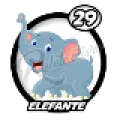 2024-06-16 16:00 29 Elefante