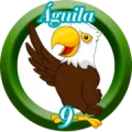 2024-09-06 16:30 9 águila