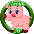 2024-09-07 14:30 20 Cochino