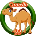 2024-07-26 14:30 22 Camello