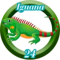 2024-07-27 10:30 24 Iguana