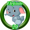 2024-07-26 18:30 29 Elefante