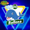 2024-11-20 14:00 00 Ballena