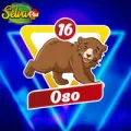 2024-11-20 08:00 16 Oso