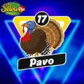 2024-09-07 15:00 17 Pavo