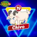 2024-11-20 13:00 19 Chivo