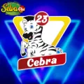 2024-07-27 11:00 23 Cebra