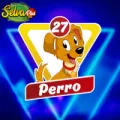 2024-07-26 09:00 27 Perro