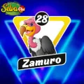 2024-09-06 17:00 28 Zamuro