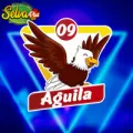 2024-09-06 18:00 9 águila