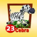 2024-07-26 16:00 23 Cebra