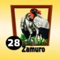 2024-09-07 13:00 28 Zamuro