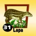 2024-09-07 09:00 31 Lapa