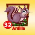 2024-09-06 12:00 32 Ardilla