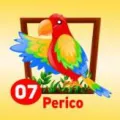 2024-09-07 16:00 7 Perico